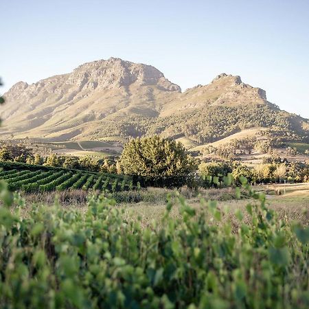 Le Pommier Wine Estate Villa Stellenbosch Exterior foto