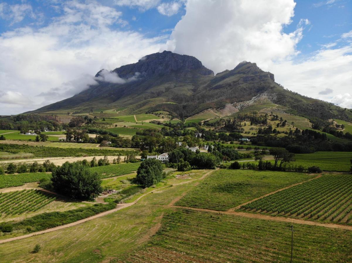 Le Pommier Wine Estate Villa Stellenbosch Exterior foto