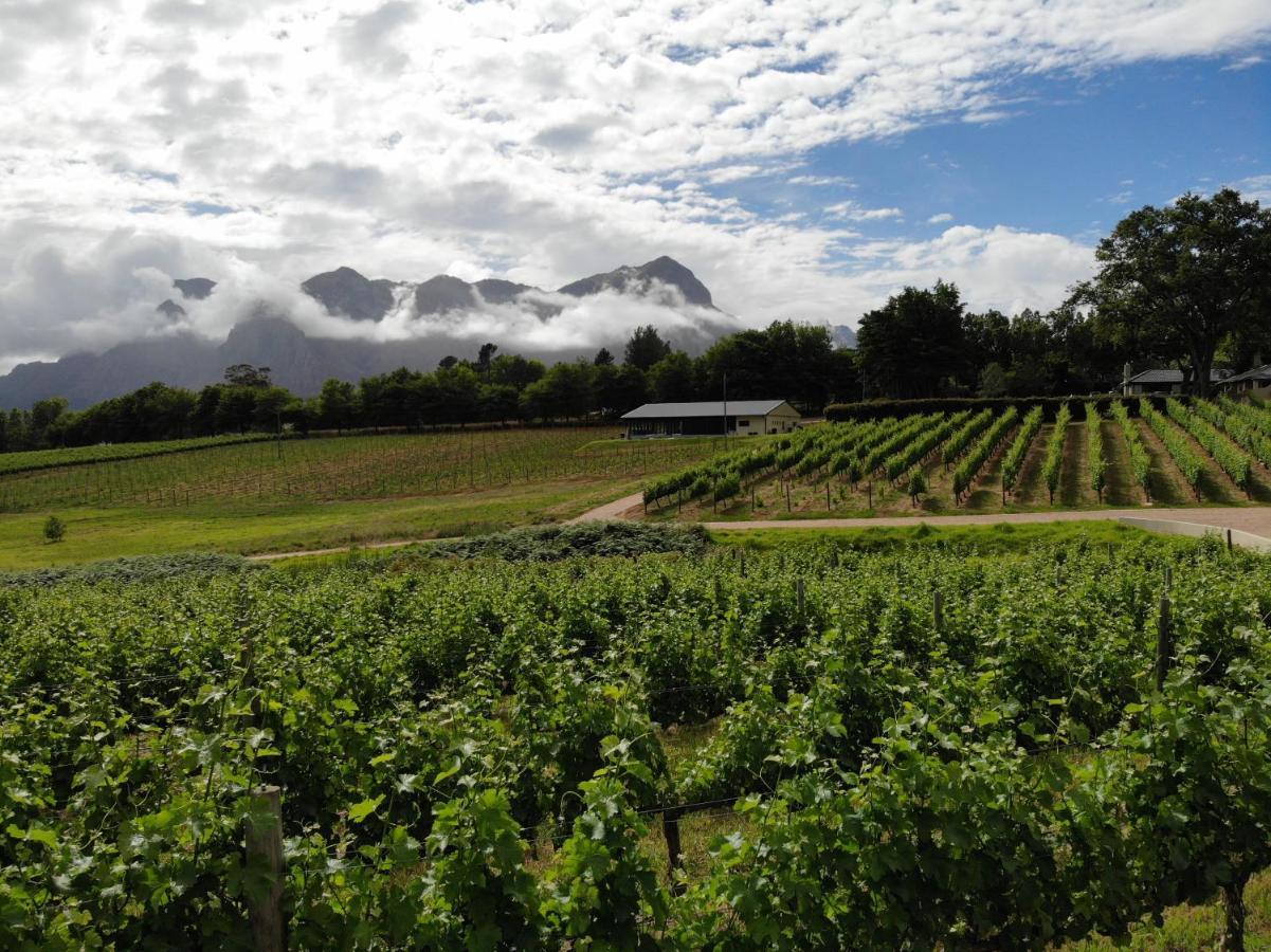 Le Pommier Wine Estate Villa Stellenbosch Exterior foto