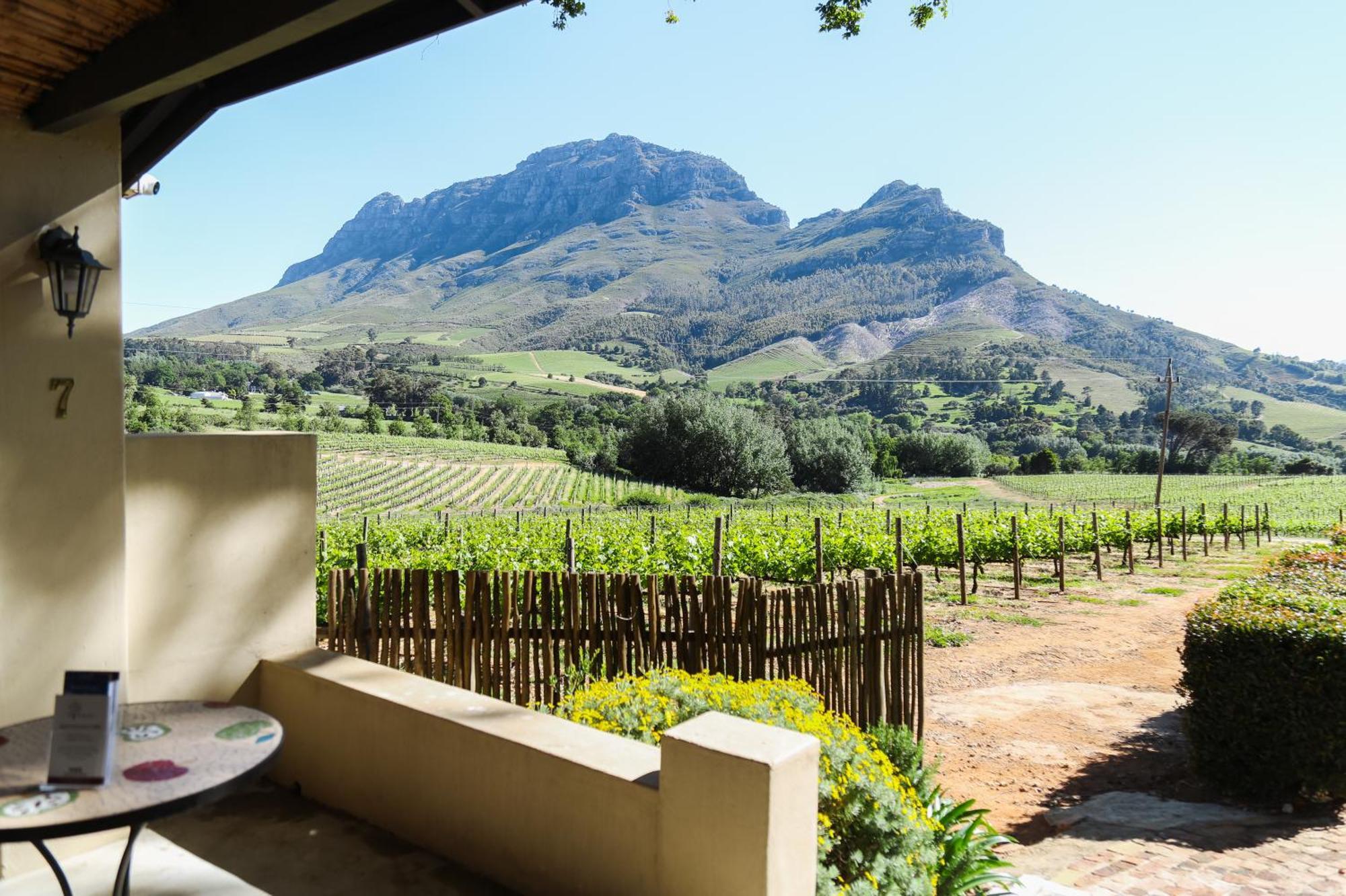 Le Pommier Wine Estate Villa Stellenbosch Exterior foto